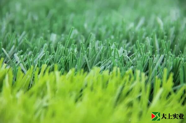 足球場(chǎng)草坪細(xì)節(jié)