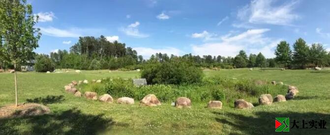 圖1 社區公園中有起伏的自然場地