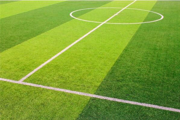 操場的草坪是什么材質(zhì)